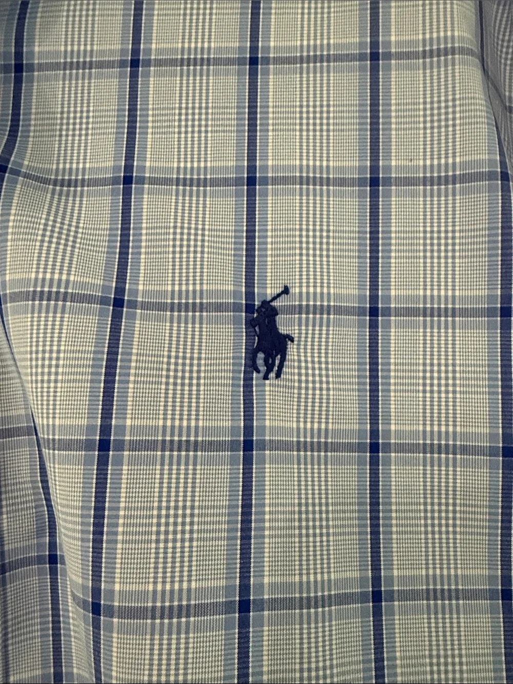 Polo by Ralph Lauren Light Blue and Navy Check Button-Down Shirt